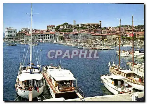 Cartes postales moderne La Cote d'Azur Cannes A M le Port et le Suquet