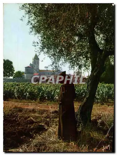 Cartes postales moderne Abbaye de Notre Dame de Lerins Ile Saint Honorat Cannes A M Meditation