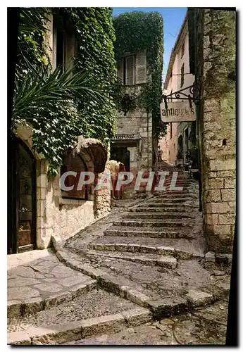 Cartes postales moderne Saint Paul de Vence la Rue centrale