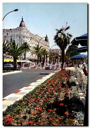 Cartes postales moderne La Cote d'Azur Cannes A M la Croisette le Carlton