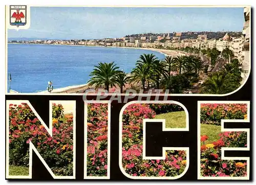 Cartes postales moderne Nice Cote d'Azur Souvenir de Nice