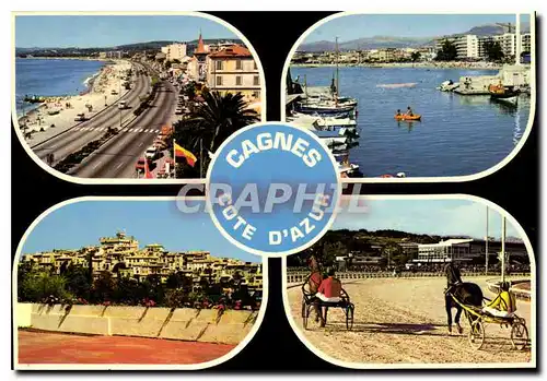 Cartes postales moderne Cagnes Cote d'Azur la plage le Port le haut de Cagnes l'Hippodrome