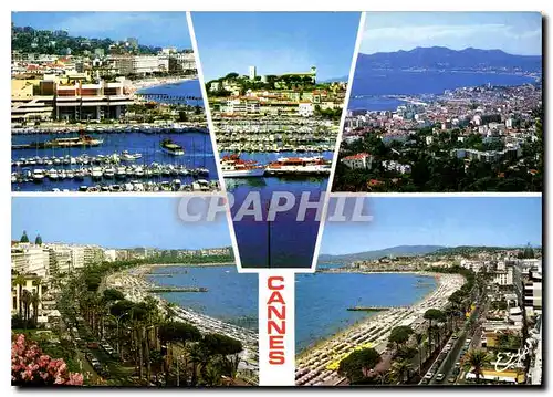 Cartes postales moderne La Cote d'Azur cannes A M le Port le Suquet la Ville et la Croisette