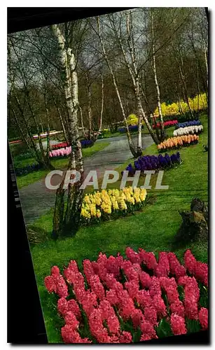 Moderne Karte Keukenhof Lisse Holland