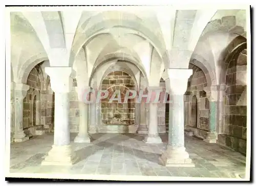 Cartes postales moderne Denmark Viborg Cathedral