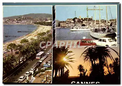 Cartes postales moderne La Cote d'Azur inoubliable Cannes La Croisette Le Suquet