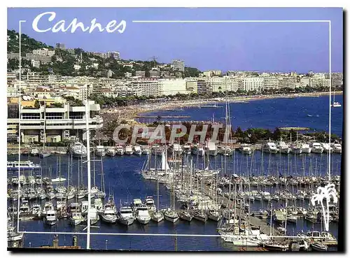 Cartes postales moderne La Cote d'Azur Inoubliable French Riviera Cannes A M le Palais du Festival et la Croisette