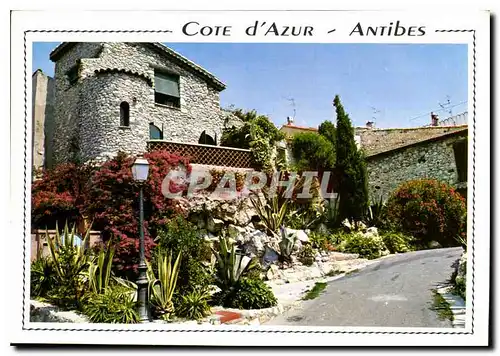 Cartes postales moderne Cote d'Azur Antibes A M Une vieille rue fleurie