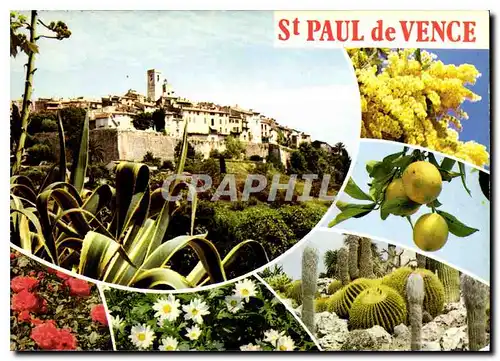 Cartes postales moderne La Cote d'Azur inoubliable St Paul de Vence