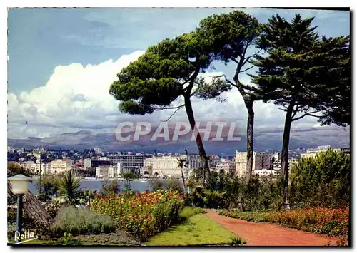 Cartes postales moderne La Cote d'Azur Cannes A M les grands palaces de la Croisette vus du Marly