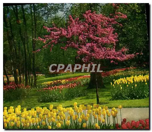 Moderne Karte Keukenhof Lisse Holland