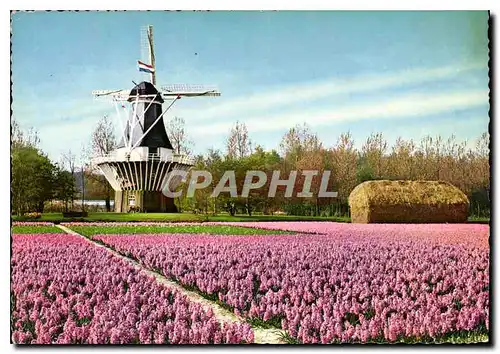 Moderne Karte Holland