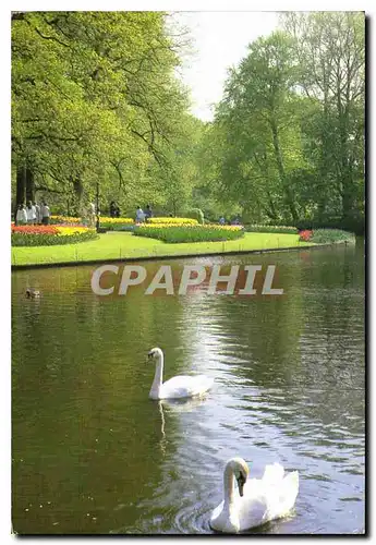 Moderne Karte Keukenhof Lisse Holland