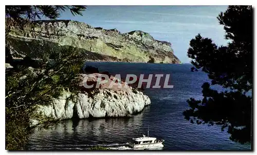 Cartes postales moderne Une rose a la boutonniere de la Provence Cassis sur Mer les calanques dans le fond le Cap Canail