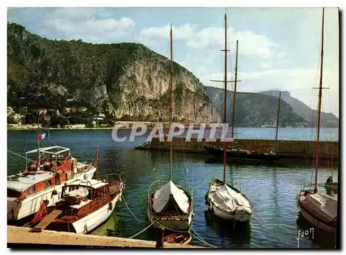 Cartes postales moderne Couleurs et Lumiere de France la Cote d'Azur miracle de la nature Beaulieu sur Mer A M le Port