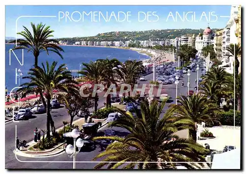 Cartes postales moderne Cote d'Azur French Riviera Nice La Promenade des Anglais