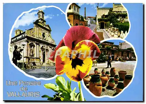 Cartes postales moderne Une Pensee de Vallauris