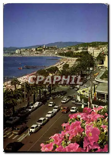 Cartes postales moderne Cannes La Promenade de la Croisette dans le fond le Suquet