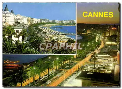 Cartes postales moderne La Cote d'Azur Cannes Cannes la nuit