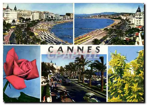 Cartes postales moderne La Cote d'Azur les Palaces de la Croisette la Croisette et le Suquet