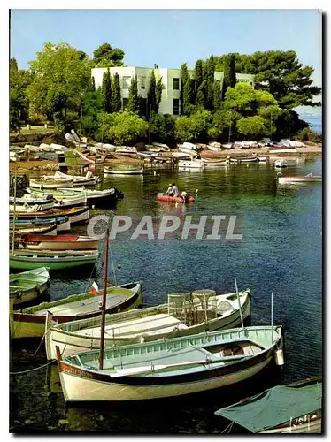 Cartes postales moderne Couleurs et lumiere de France La Cote d'Azur Cap d'Antibes Alpes Maritimes le Port de l'Olivette