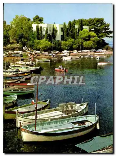 Moderne Karte Couleurs et lumiere de France La Cote d'Azur Cap d'Antibes Alpes Maritimes le Port de l'Olivette