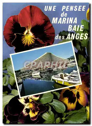 Cartes postales moderne La Cote d'Azur Villeneuve Loubet Marina Baie des Anges
