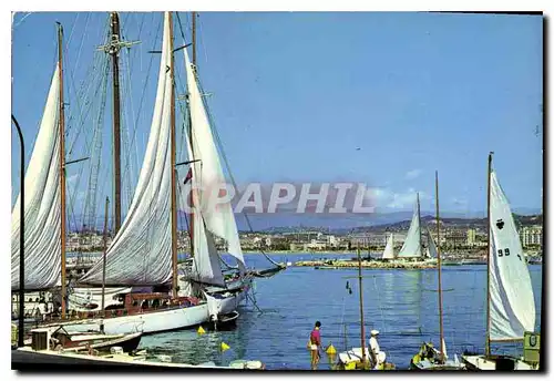 Cartes postales moderne Cannes vue prise sur la Croisette depuis le nouveau Port Pierre Canto Bateau