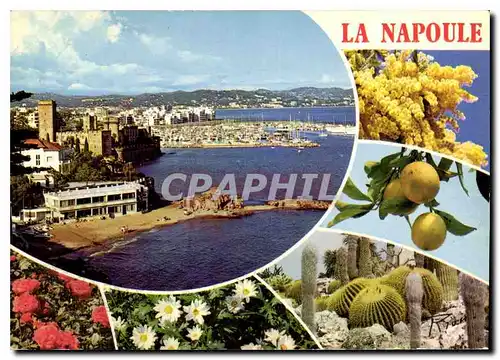 Cartes postales moderne La Cote d'Azur inoubliable