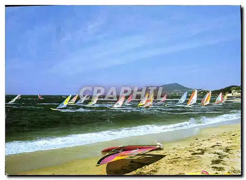 Cartes postales moderne Lumiere et Beaute de la Cote d'Azur Championnat des fun boards Planches a voile