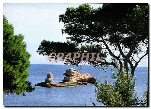 Cartes postales moderne La Cote Bleue Paysage Mediterraneen