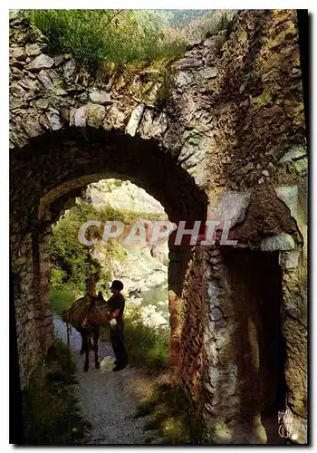 Cartes postales moderne Paysages de France Provence Scene typique de l'arriere pays