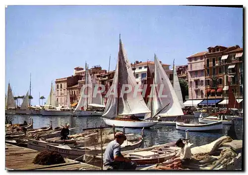 Cartes postales moderne Cannes Cote d'Azur le vieux port Bateaux Pecheurs Peche