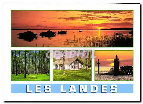 Cartes postales moderne Les Landes
