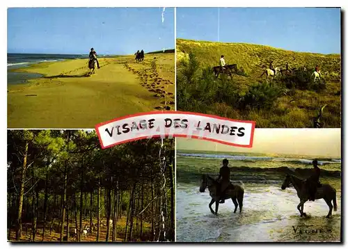 Moderne Karte Visage des Landes Promenades a cheval en foret dans les dunes et en borduce de l'Ocean avec le C