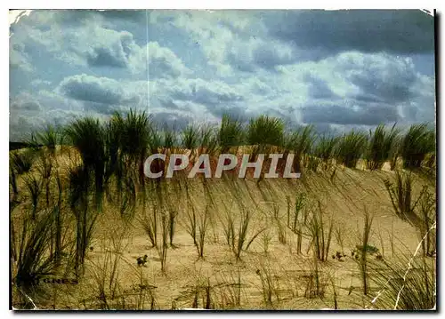 Cartes postales moderne Visage des Landes Effets de nuages sur la dune du littora