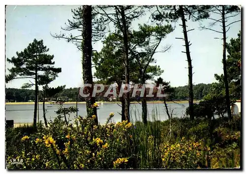 Cartes postales moderne Lac au pays landais