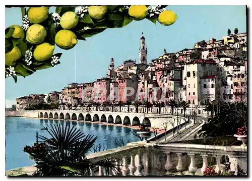 Cartes postales moderne Menton A M Vue generale sur la ville