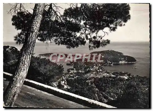 Cartes postales moderne Vue panoramique sur le Cap Ferrat