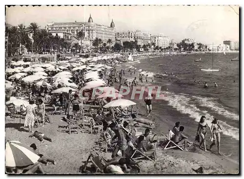 Cartes postales moderne La Cote d'Azur Cannes la Plage