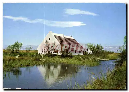 Cartes postales moderne Camargue Lumieres et Traditions Maison de Gardians