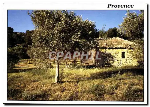 Cartes postales moderne Reflest de Provence