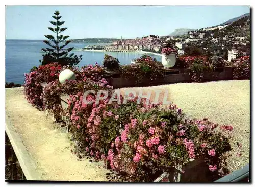 Cartes postales moderne Couleurs et lumiere de France la Cote d'Azur miracle de la nature Menton Alpes MAritimes