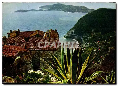 Cartes postales moderne Couleurs et lumiere de France la Cote d'Azur miracle de la nature Eze Alpes Maritimes Du jardin