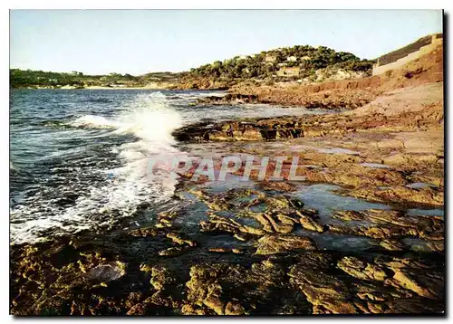 Cartes postales moderne Les Oursinieres Sa Cote d'Azur et d'Or