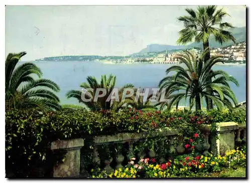 Cartes postales moderne Couleurs et lumiere de France la Cote d'Azur miracle de la nature Menton Alpes Maritimes les jar