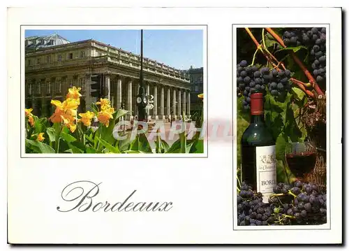 Cartes postales moderne Bordeaux le grand theatre