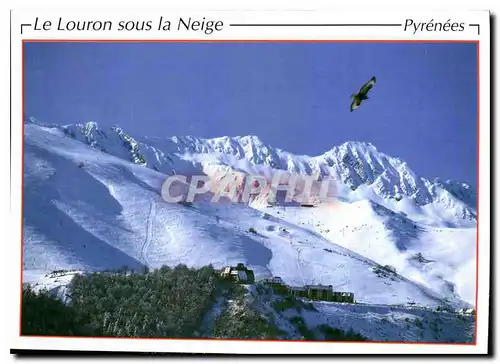 Cartes postales moderne Hiver en Vallee du Louron La Station de Ski de Val Louron Vautour Fauve Rapace