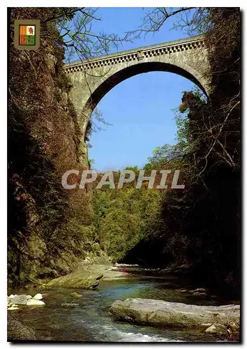 Cartes postales moderne Hautes Pyrenees Saint Sauveur le Pont Napoleon