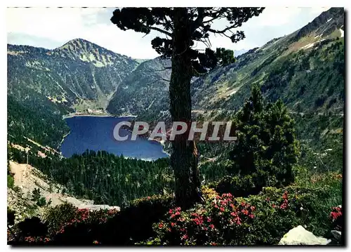 Cartes postales moderne Vallee d'Aure le Lac d'Oredon et le Mont Pelot vus de Cap de Long